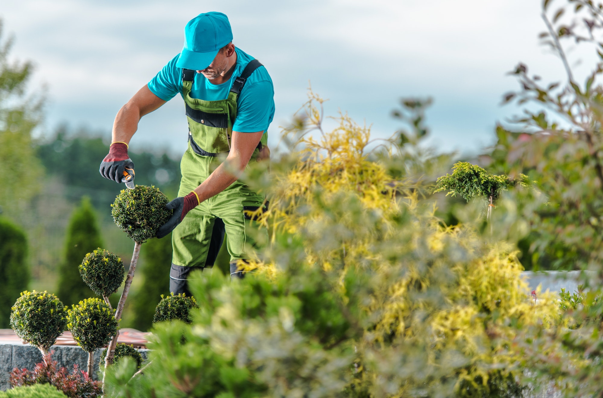 Gardener Maintenance Job